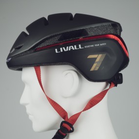 EVO21- Hybrid