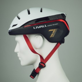 EVO21- Hybrid
