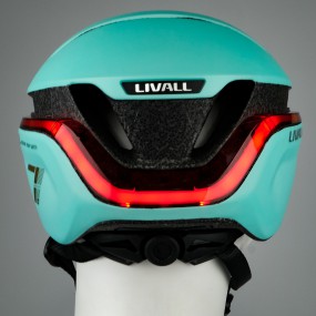 EVO21- Hybrid